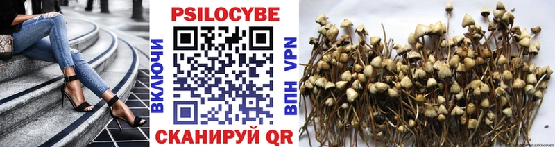 Псилоцибиновые грибы Cubensis  Белорецк 
