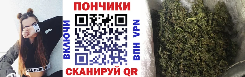 Бошки марихуана план  Белорецк 